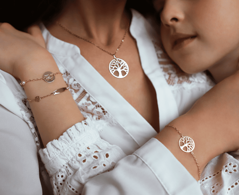 mon bijou francais une histoire de famille